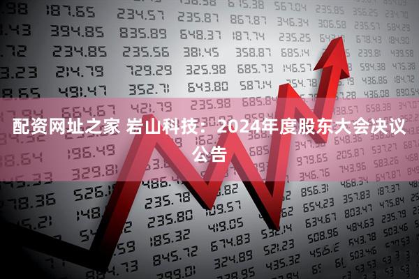 配资网址之家 岩山科技：2024年度股东大会决议公告