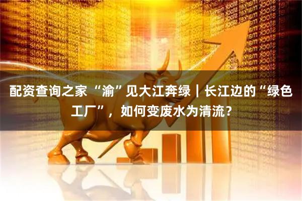 配资查询之家 “渝”见大江奔绿｜长江边的“绿色工厂”，如何变废水为清流？