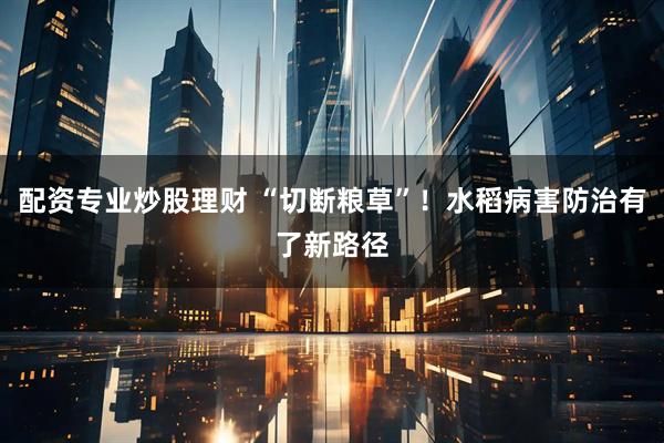 配资专业炒股理财 “切断粮草”！水稻病害防治有了新路径