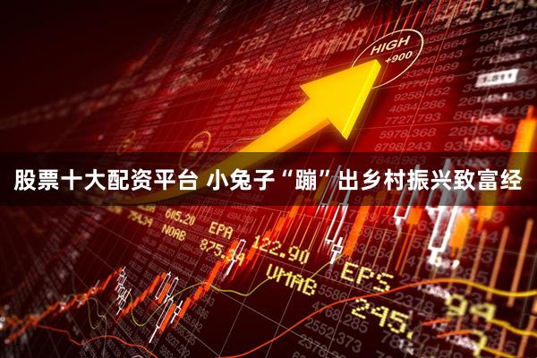 股票十大配资平台 小兔子“蹦”出乡村振兴致富经